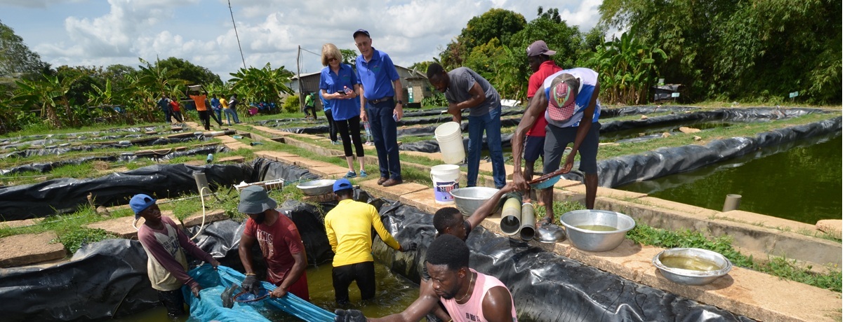 Sustainable Aquatic Food Systems Project