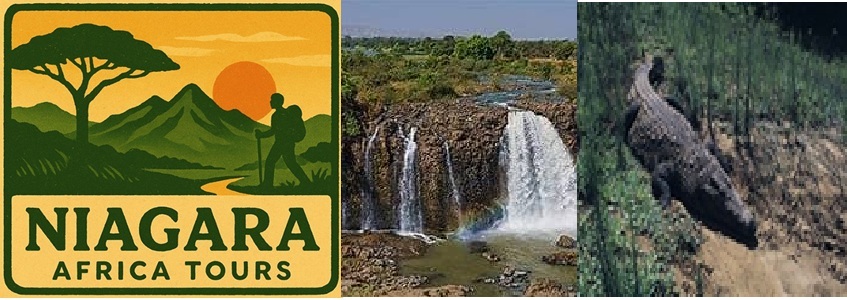 Regile Logistics X Niagara Africa Tours